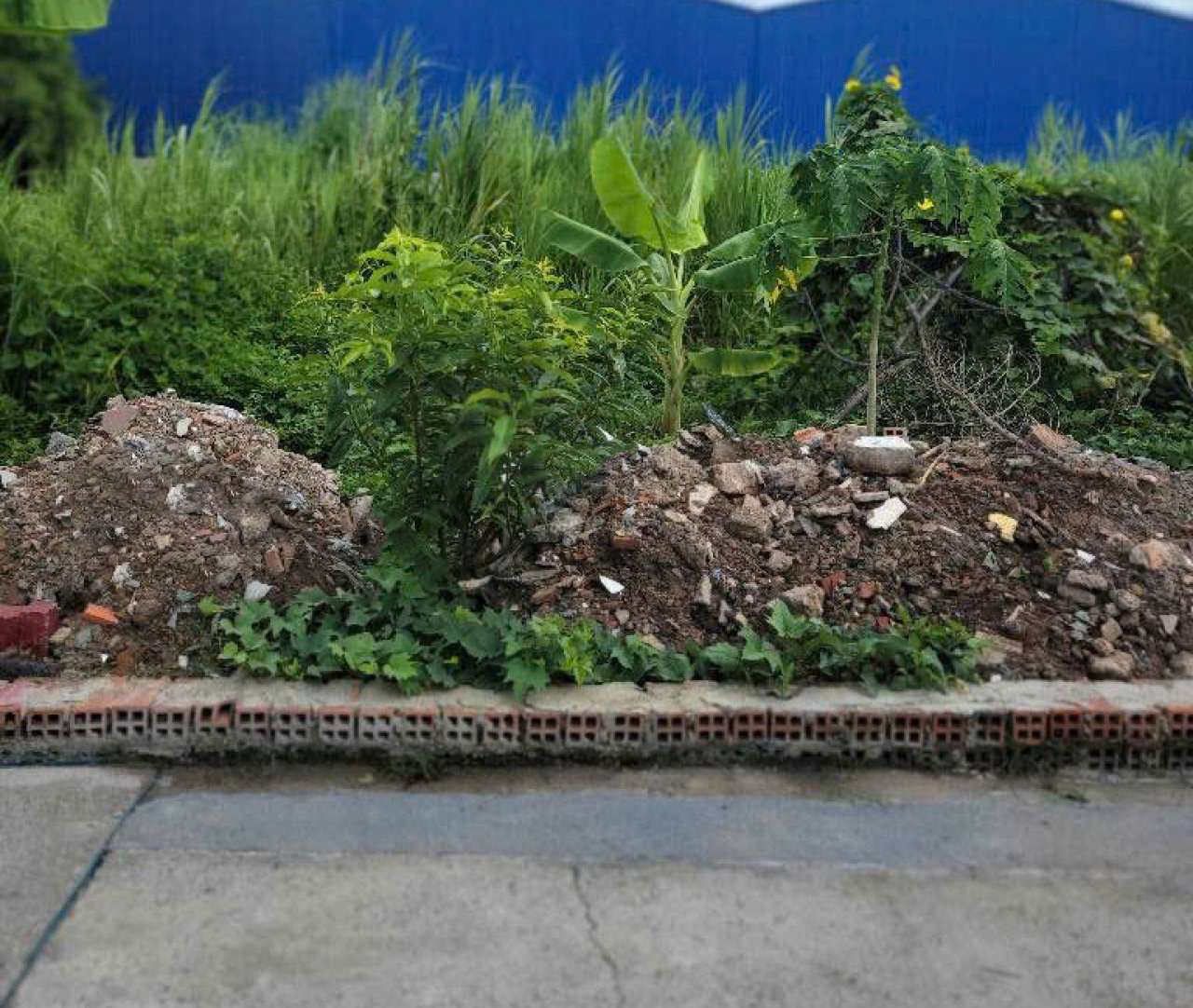 Đất vuông đẹp Hẻm xe tải 100m2 – Thạnh Xuân 47 Q12 - Ảnh chính